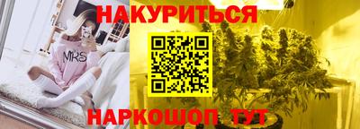 2c-b Кингисепп
