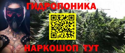 винт Кимры