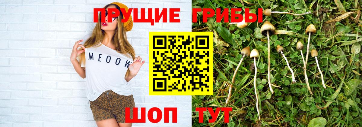 Псилоцибиновые грибы Cubensis Комсомольск-на-Амуре