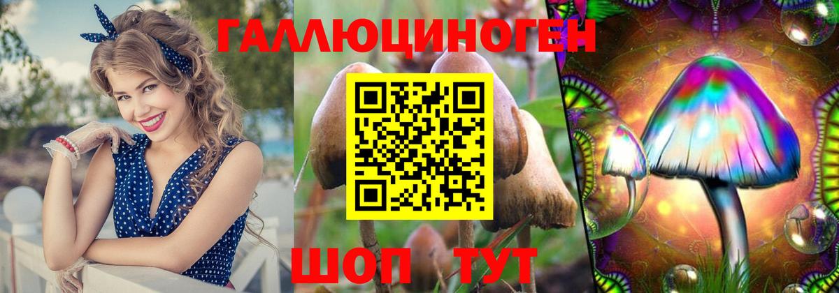 Псилоцибиновые грибы Magic Shrooms  Вход с VPN  хочу   Комсомольск-на-Амуре  Псилоцибиновые грибы Psilocybe 